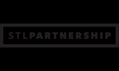 Logo — stlpartnership.com