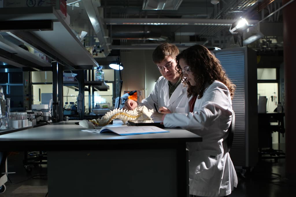 Researchers at work in a Missouri startup lab