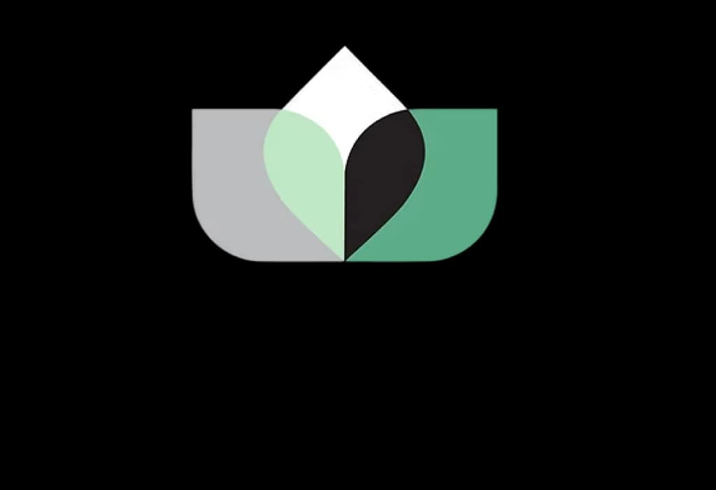 Aferna logo